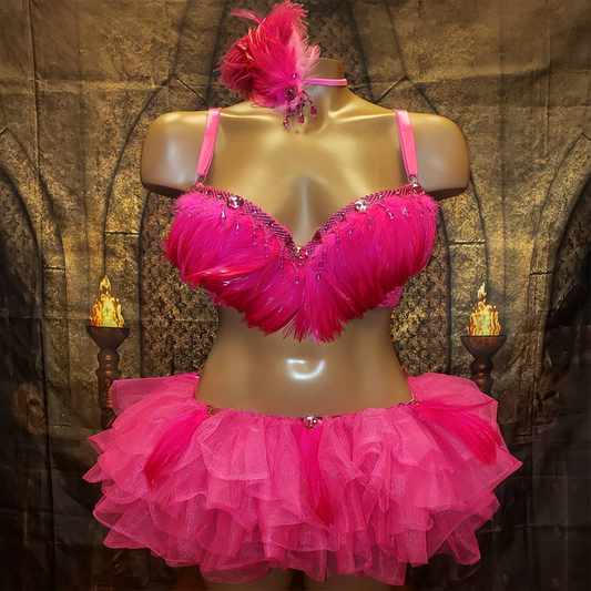 Pink Sequin & Feather Bra Top And Tutu Skirt