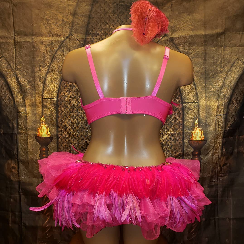 Pink Sequin & Feather Bra Top And Tutu Skirt